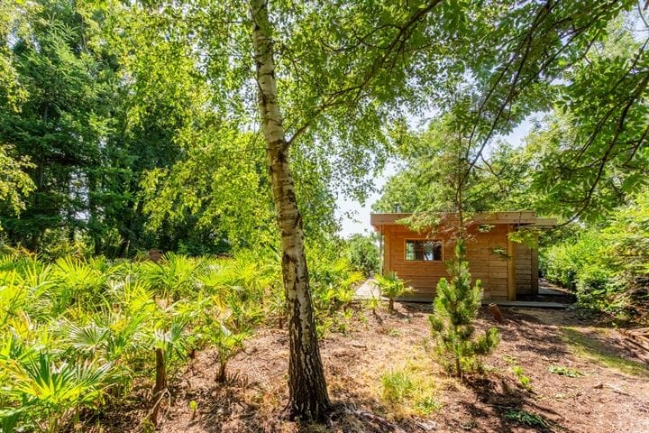 Foto 56 van Voorweg 135