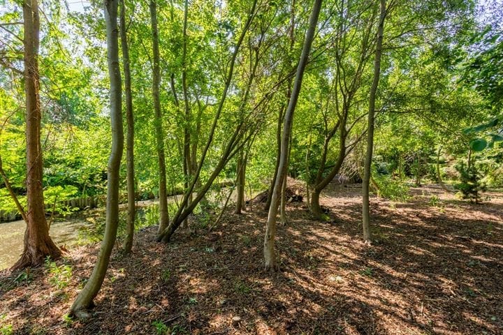 Foto 61 van Voorweg 135