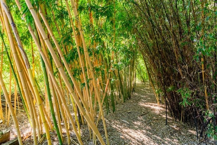 Foto 62 van Voorweg 135