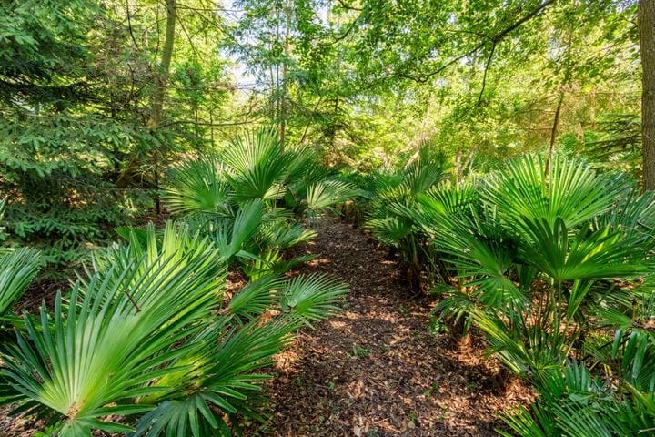 Foto 63 van Voorweg 135