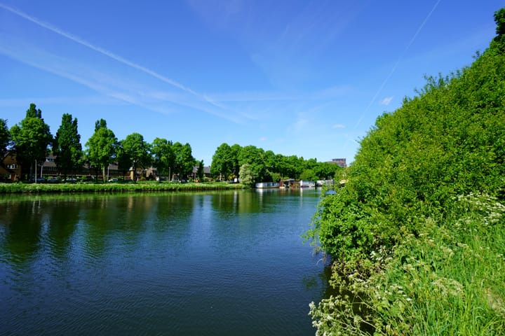 Foto 23 van Laan van Nieuw-Guinea 87-BS