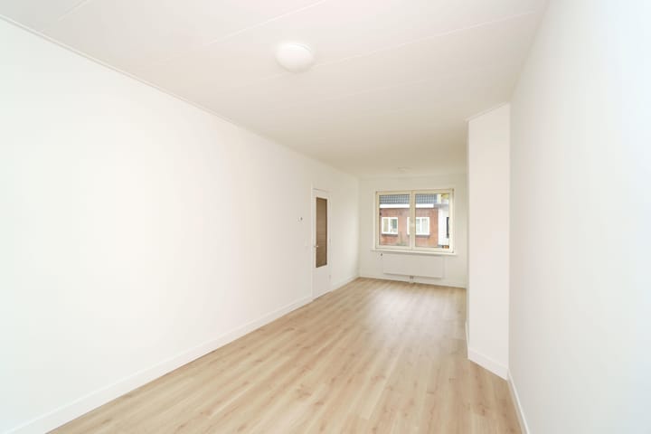 Foto 4 van Laan van Nieuw-Guinea 87-BS