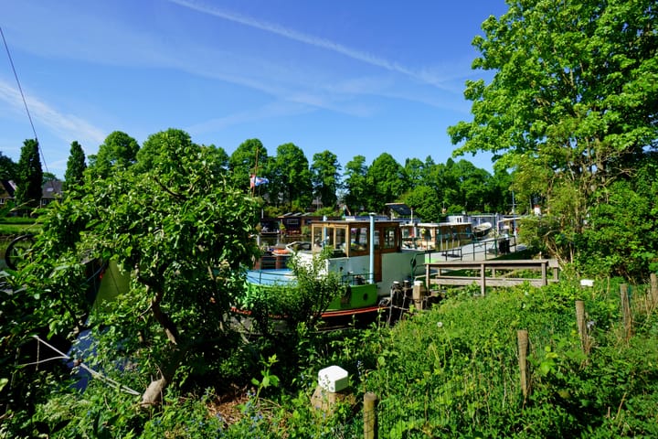 Foto 25 van Laan van Nieuw-Guinea 87-BS