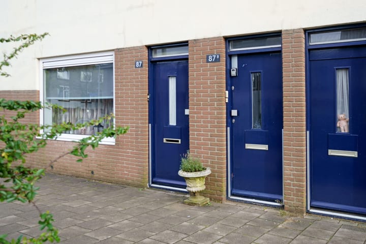 Foto 22 van Laan van Nieuw-Guinea 87-BS