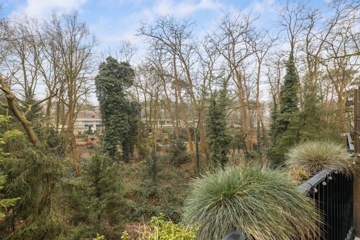 Foto 37 van van Heutszlaan 96-1