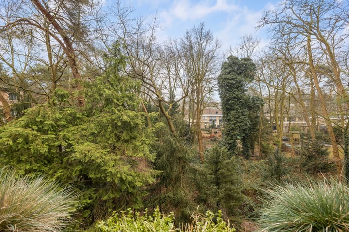 Foto 38 van van Heutszlaan 96-1