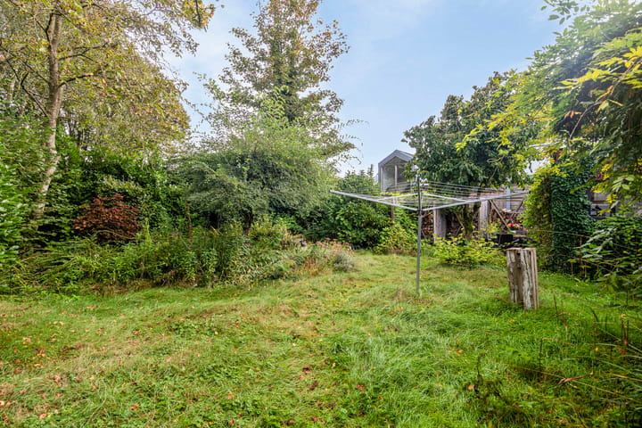 Photo 51 of Draaiboom 55