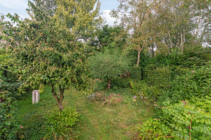 Photo 53 of Draaiboom 55