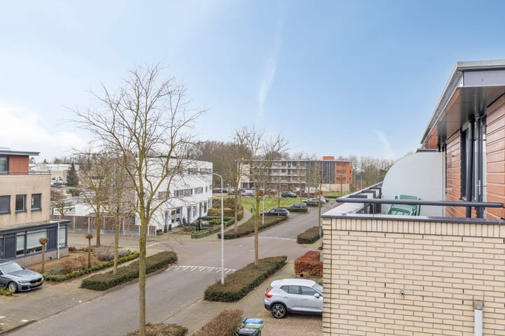 Foto 29 van Madeliefberg 30