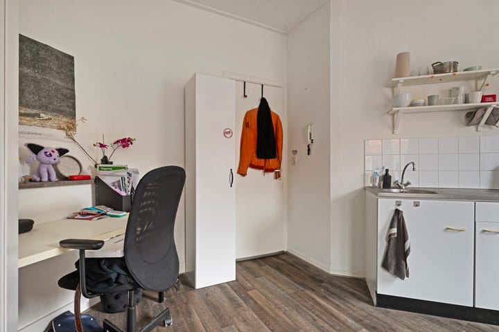 Foto 5 van Professor Poelsstraat 51