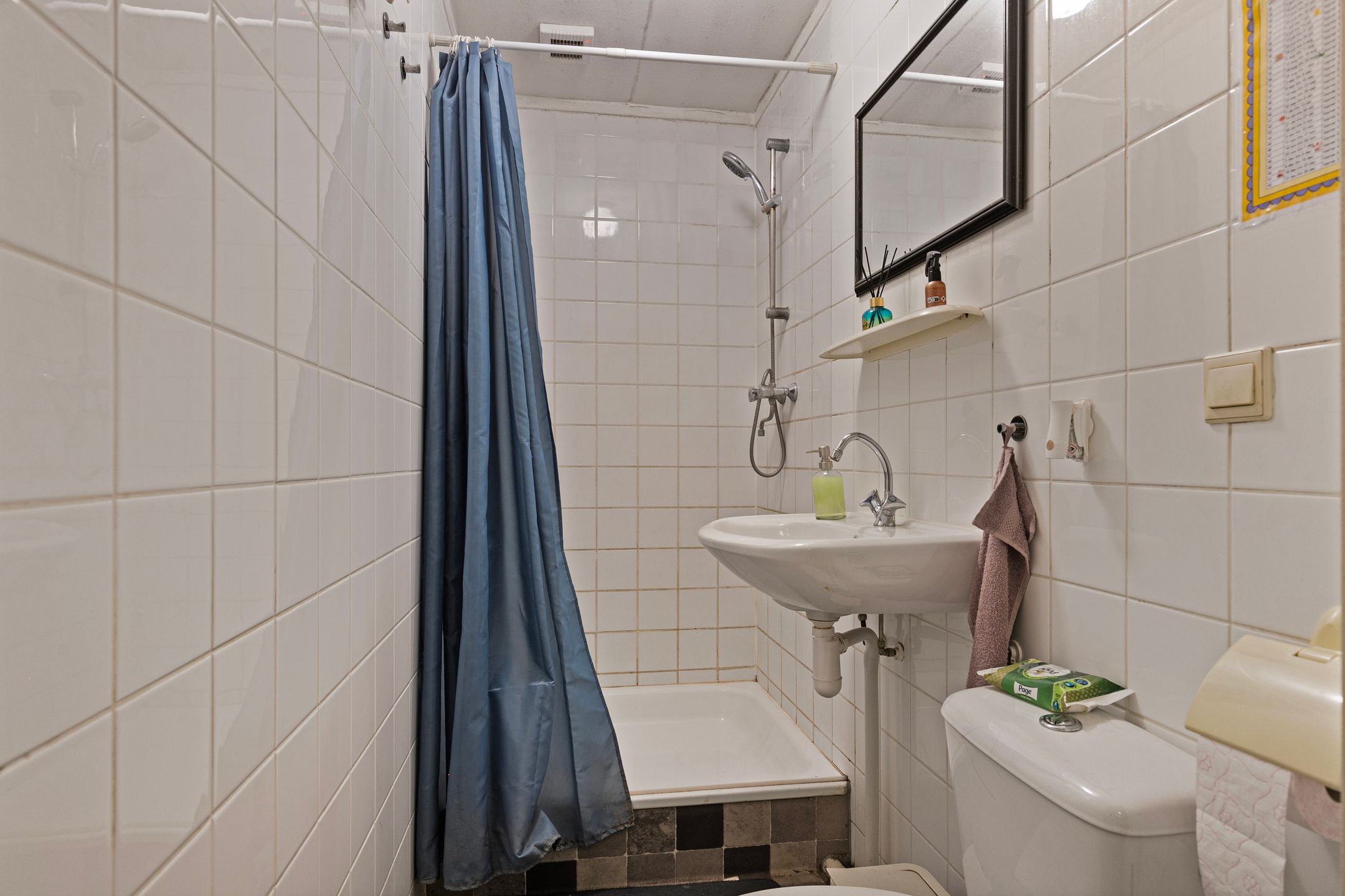 Foto 12 van Professor Poelsstraat 51