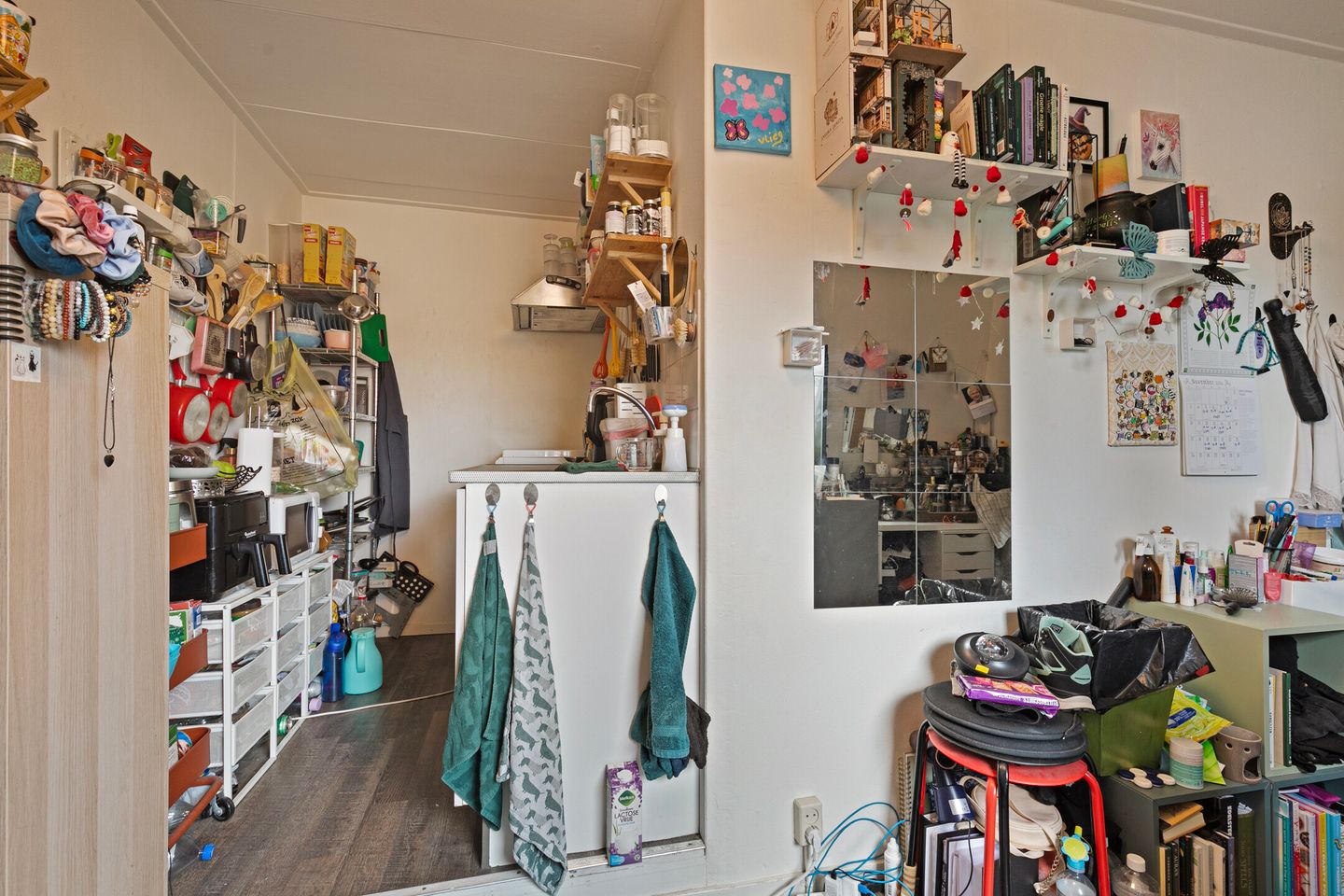 Foto 19 van Professor Poelsstraat 51