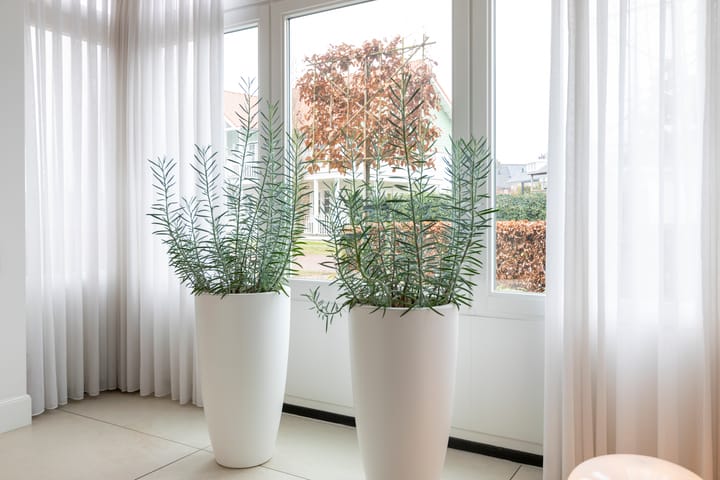 Foto 14 van Hooghbeemd 9