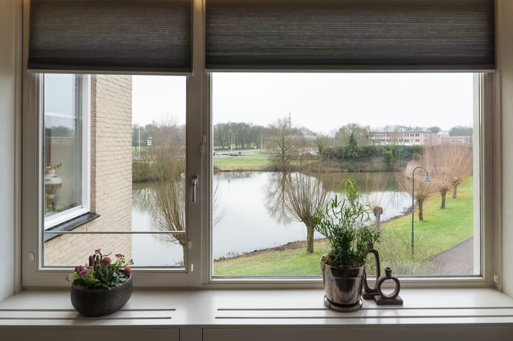 Foto 24 van Herfsttuin 40