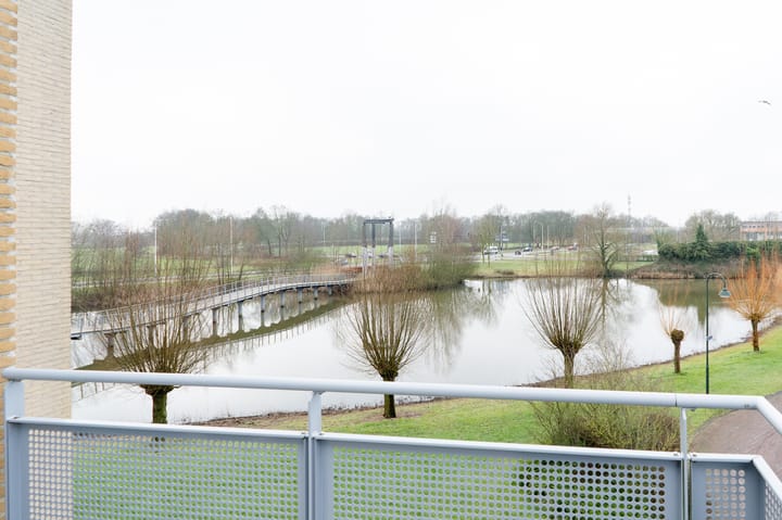 Foto 2 van Herfsttuin 40