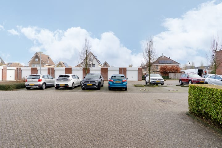 Foto 41 van Herfsttuin 40