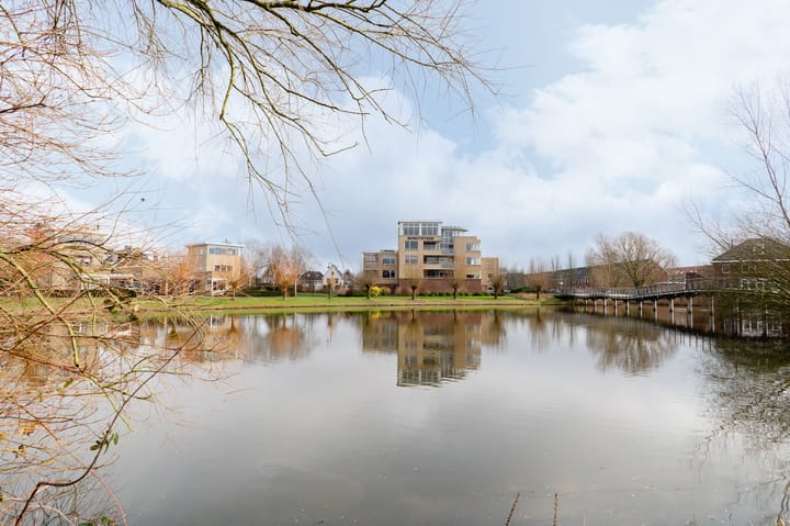 Foto 47 van Herfsttuin 40