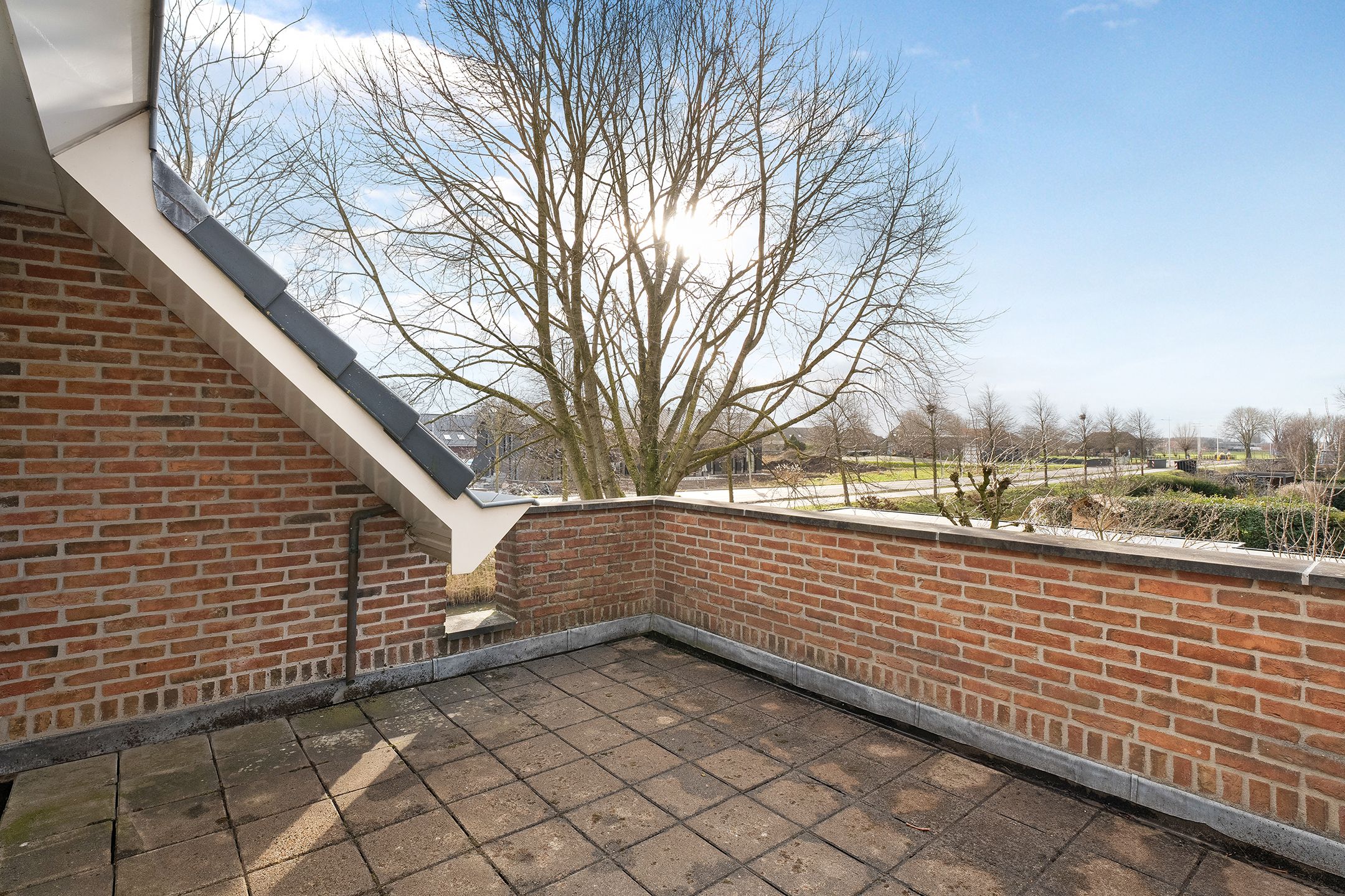 Foto 36 van Koraal 85