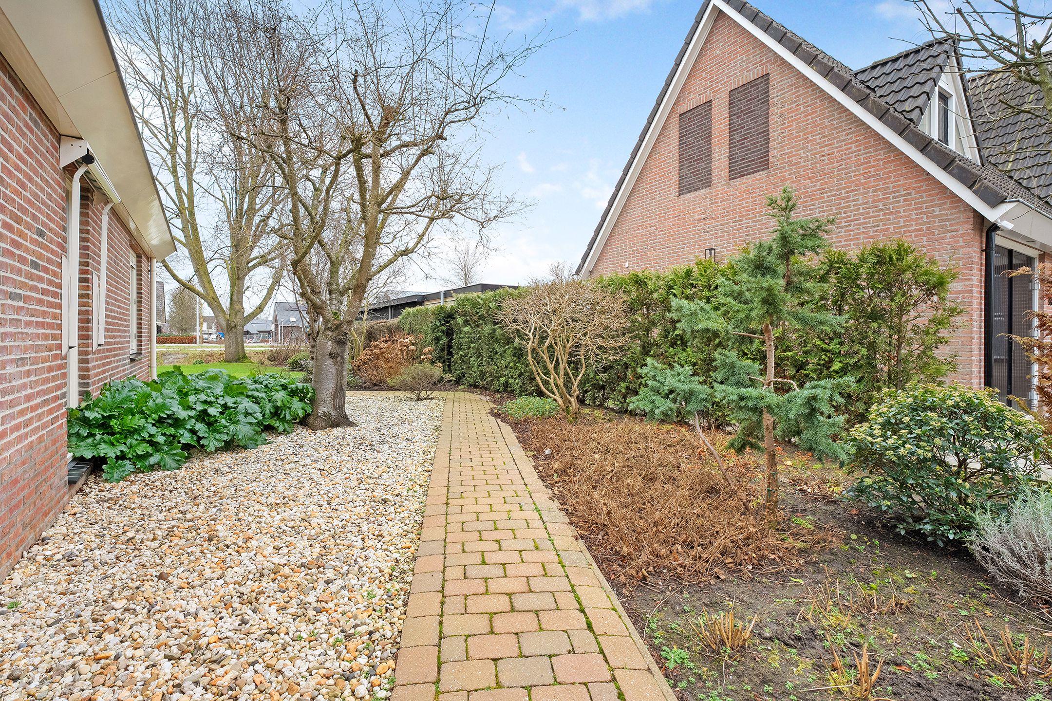 Foto 39 van Koraal 85