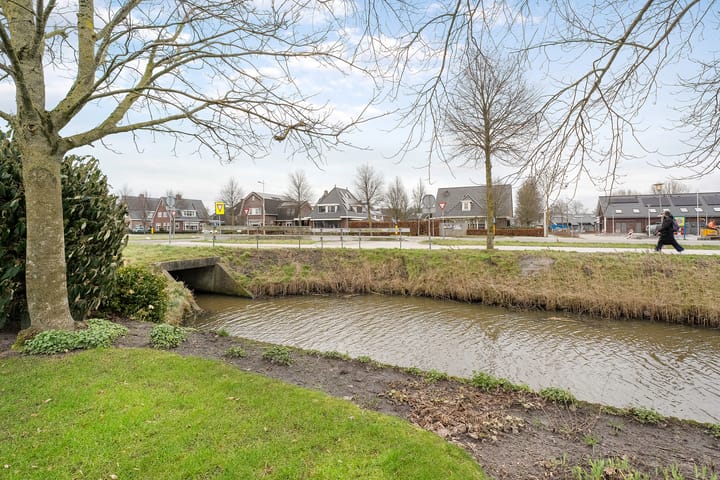 Foto 43 van Koraal 85