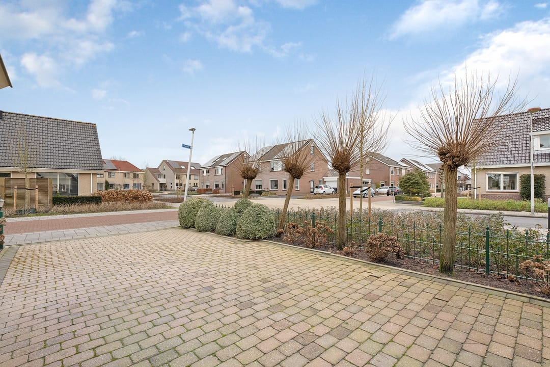 Foto 46 van Koraal 85