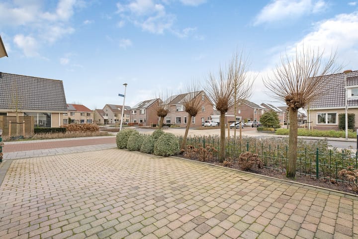 Foto 46 van Koraal 85