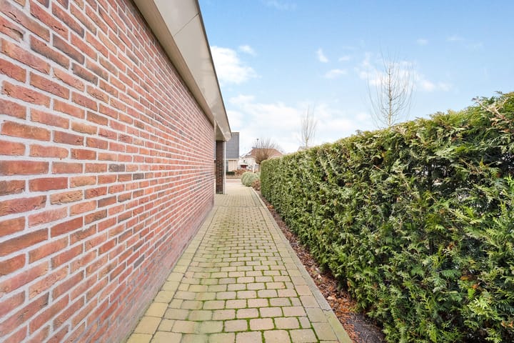 Foto 47 van Koraal 85