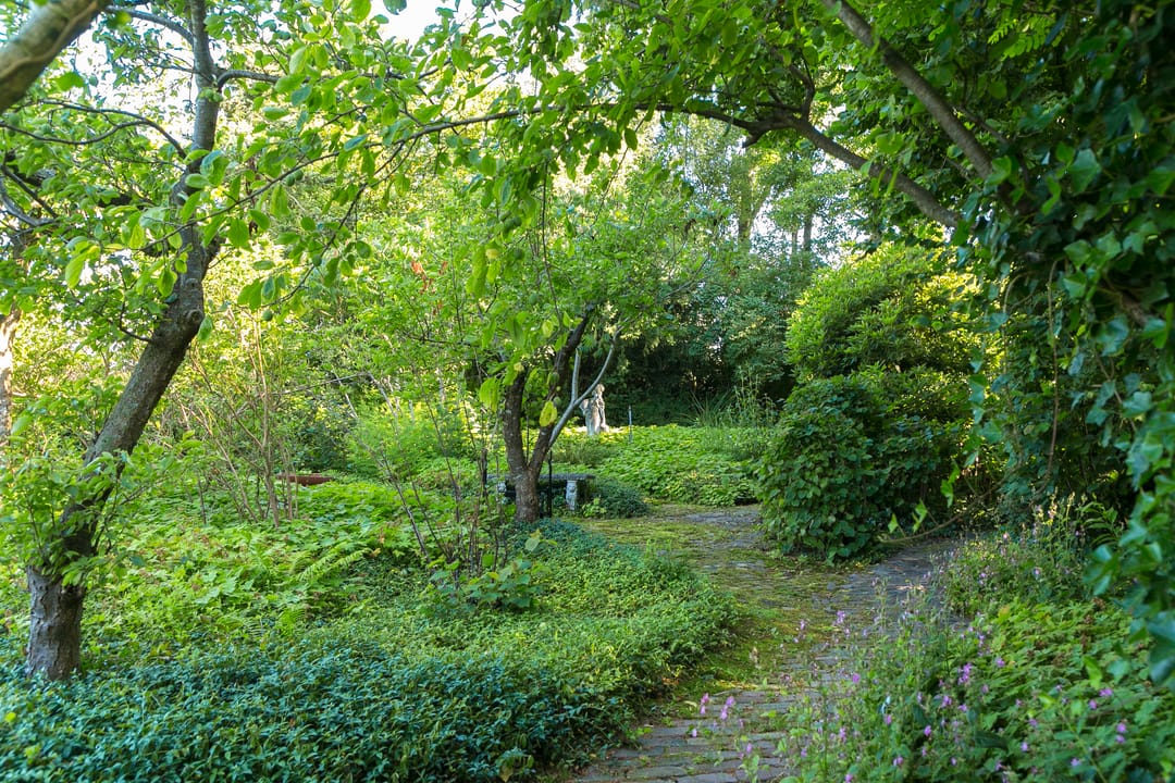 Foto 37 van Hessenweg 253