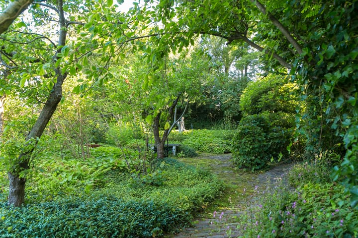 Foto 37 van Hessenweg 253