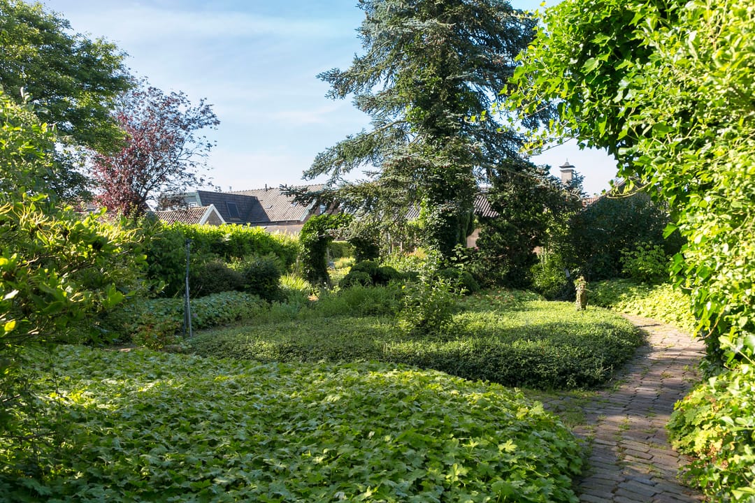 Foto 38 van Hessenweg 253