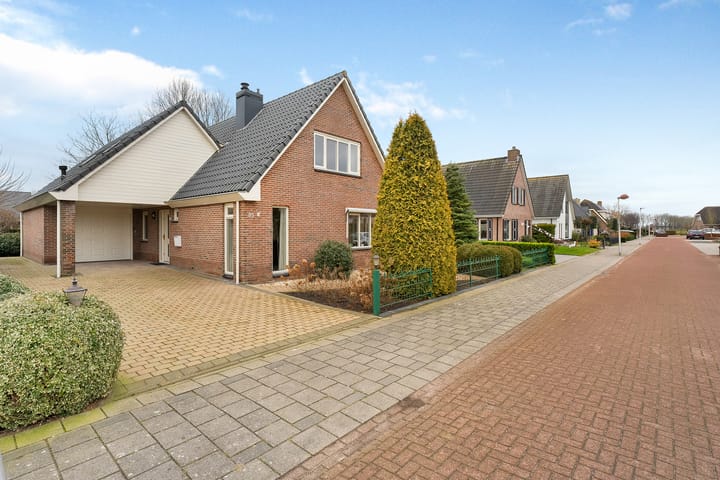 Foto 49 van Koraal 85