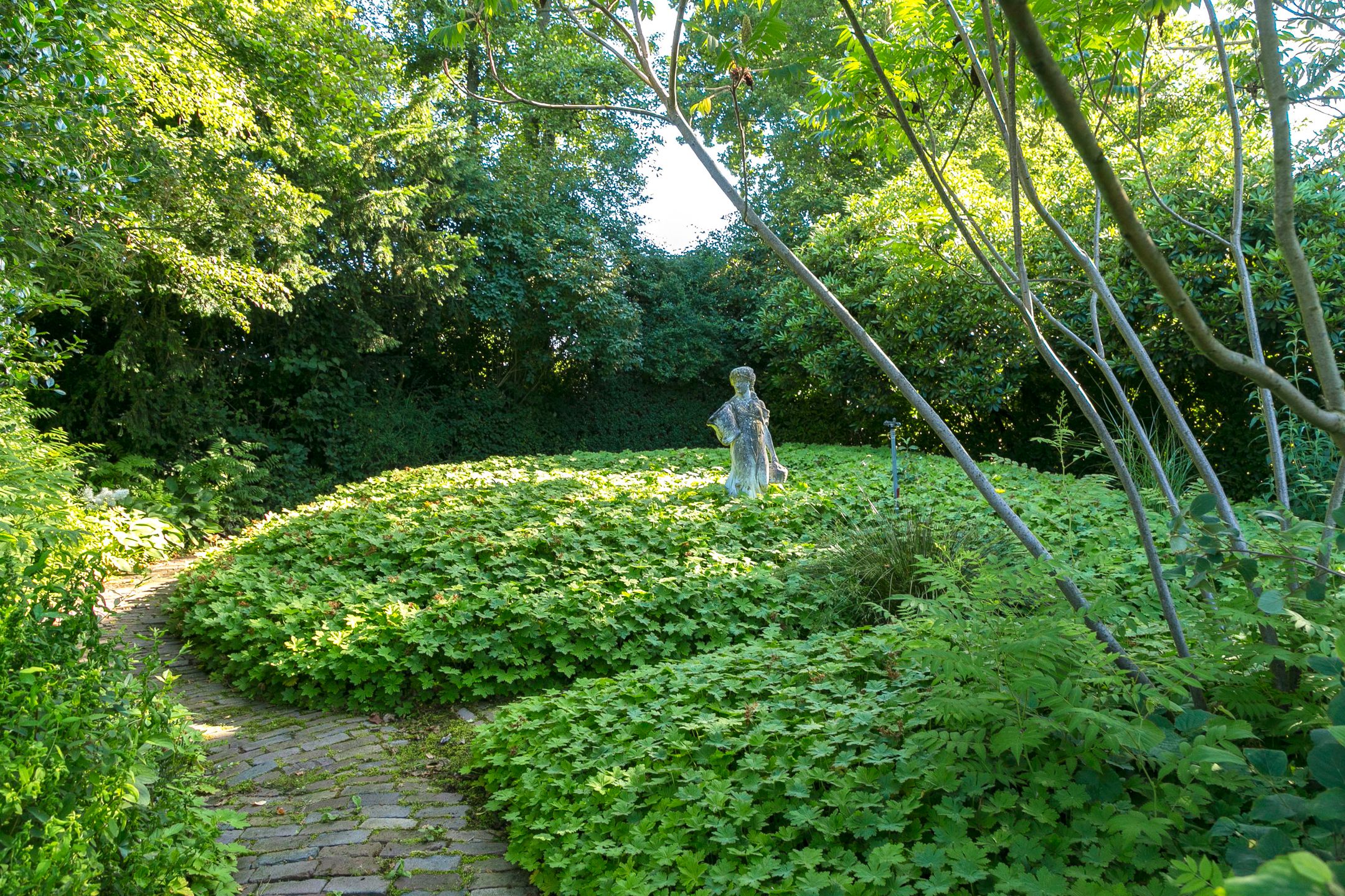 Foto 39 van Hessenweg 253