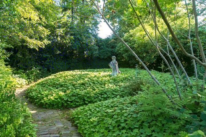 Foto 39 van Hessenweg 253