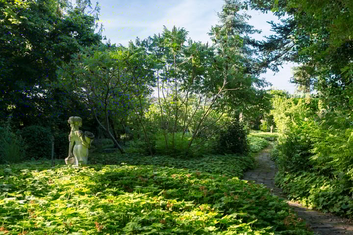 Foto 40 van Hessenweg 253