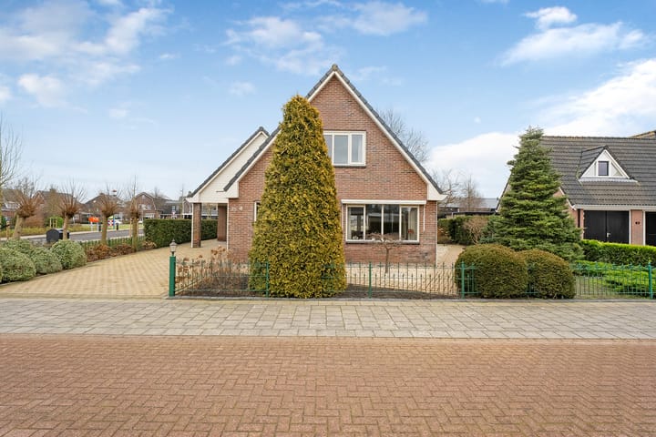 Foto 50 van Koraal 85