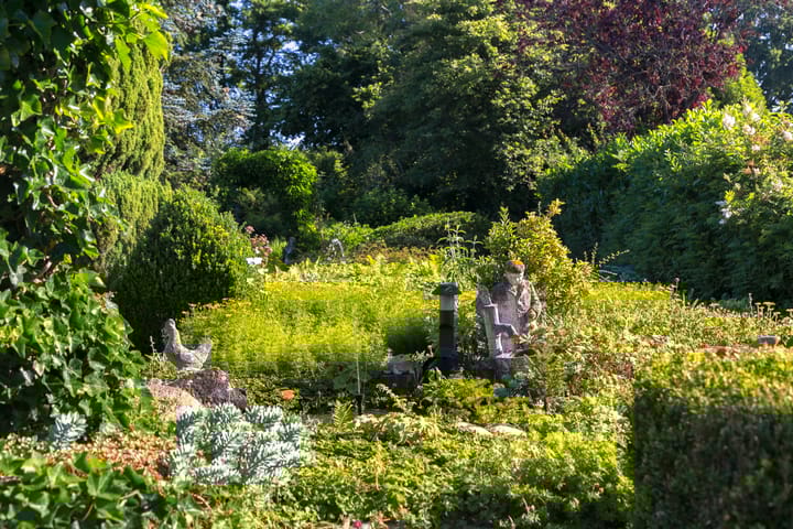 Foto 41 van Hessenweg 253