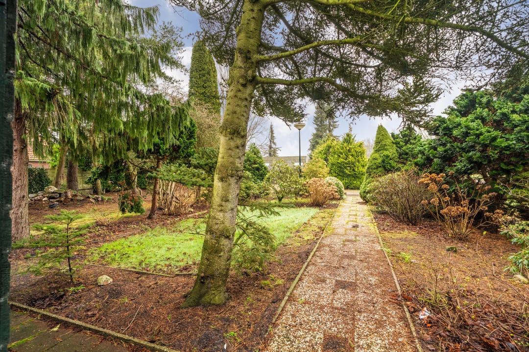 Foto 58 van Noordbroeksterstraat 59