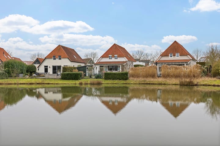 Foto 2 van Watervogel 22