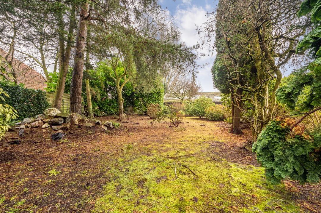 Foto 62 van Noordbroeksterstraat 59