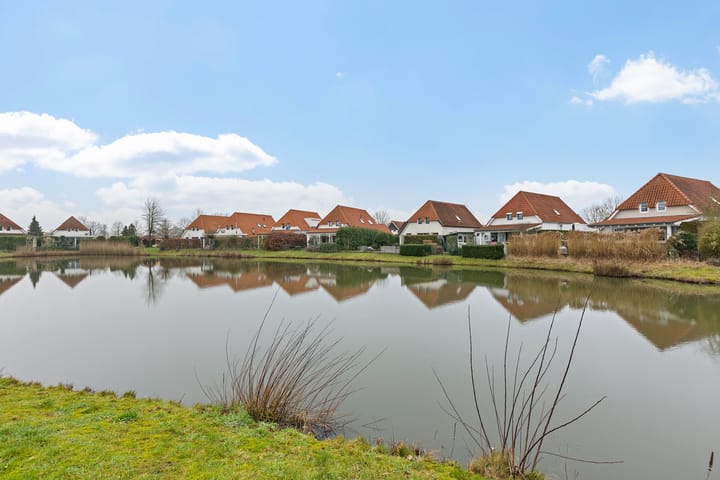 Foto 36 van Watervogel 22