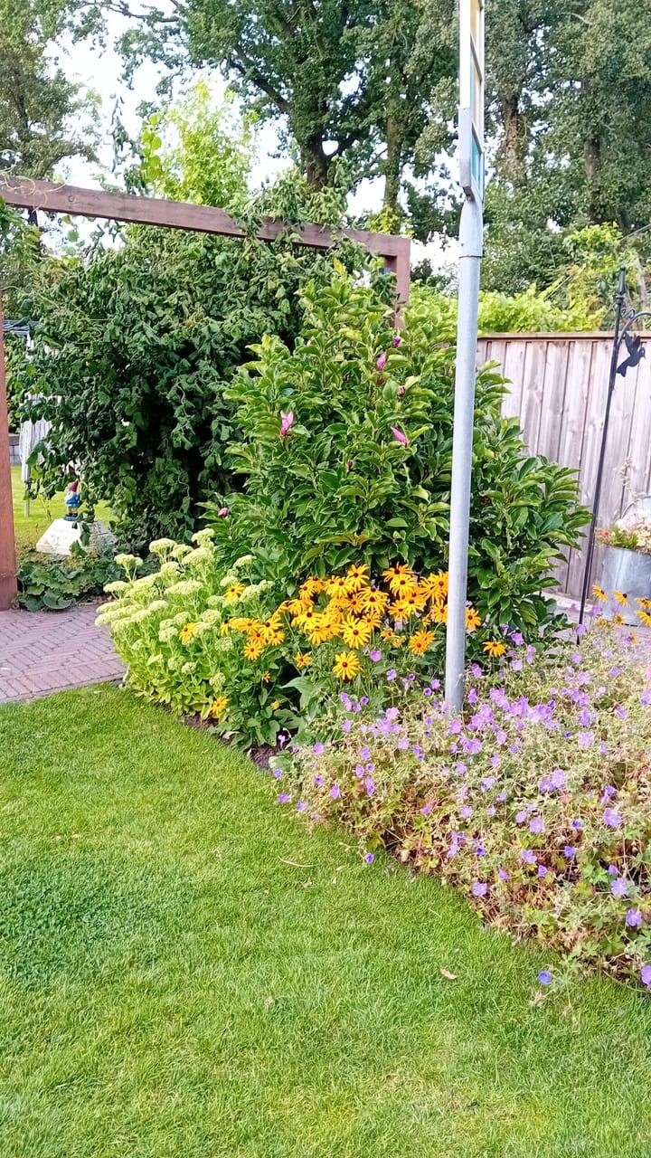 Foto 76 van Linthorst Homanstraat 9