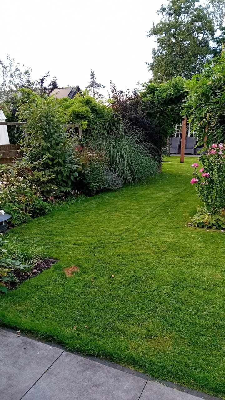 Foto 84 van Linthorst Homanstraat 9