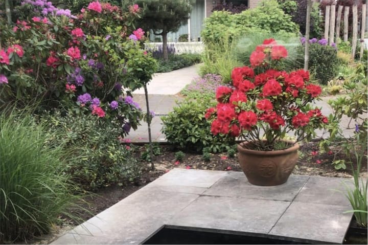 Foto 5 van Molvense Erven 6