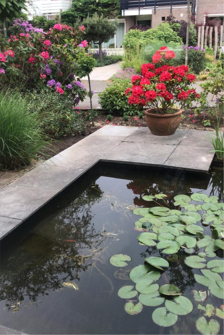 Foto 17 van Molvense Erven 6