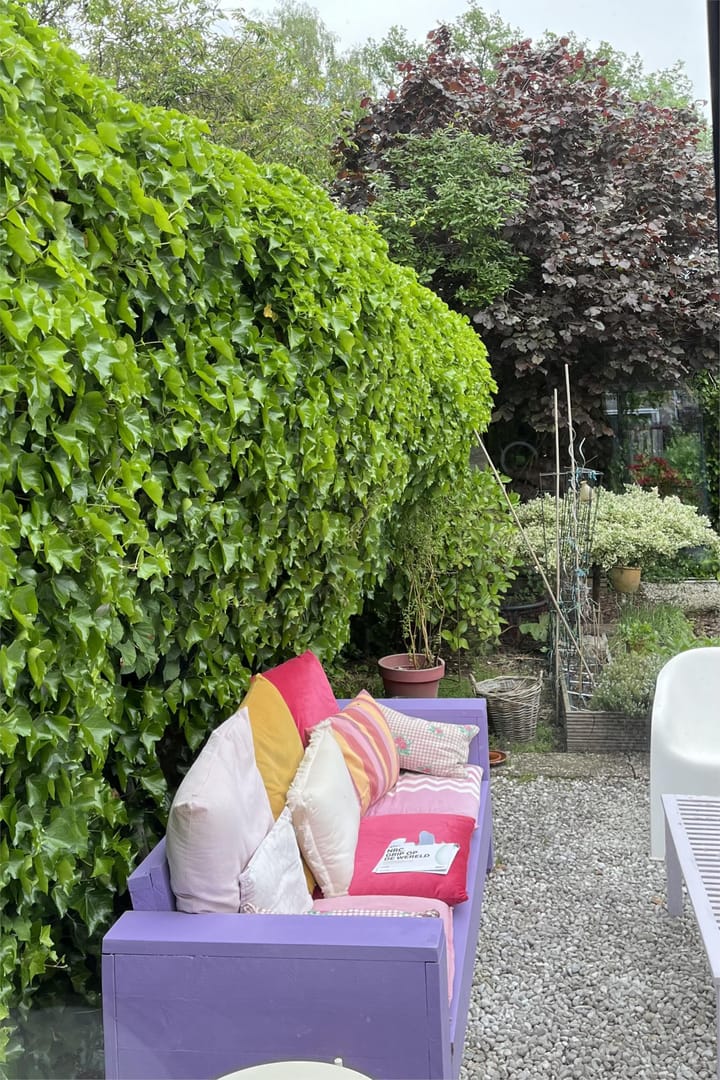 Foto 43 van Molvense Erven 6