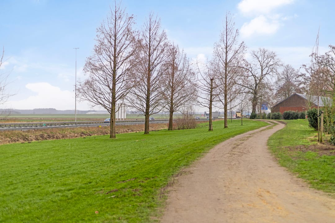 Foto 31 van Prof. Piersonstraat 28