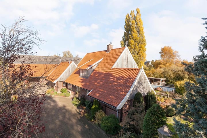 undefined main image