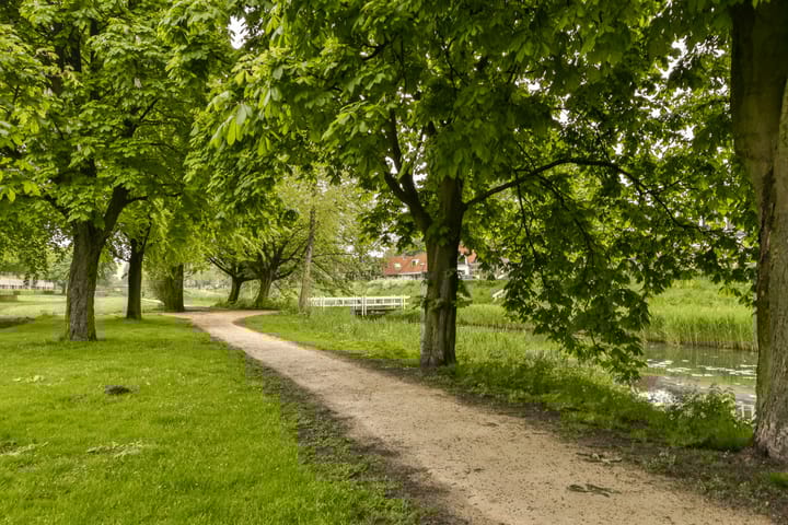 Foto 16 van Wingerdweg 301