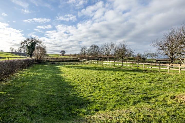 Photo 59 of Hegge 91