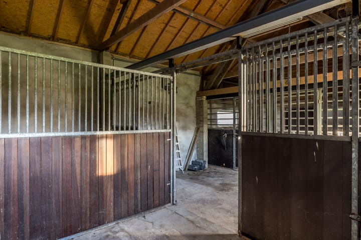 Photo 64 of Hegge 91